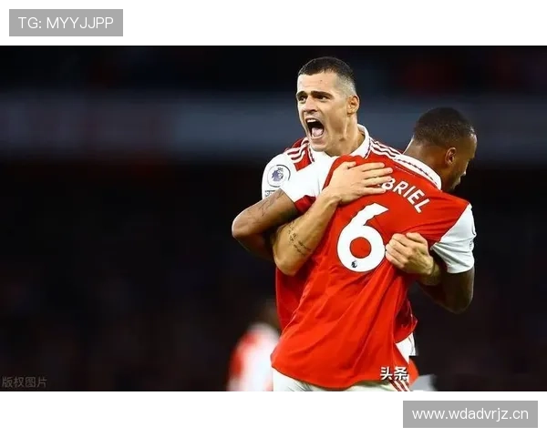 萨利巴与迪亚斯:体系型中卫的战术角色差异解析